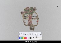 藏品(中國湖北皮影戲偶頭-生(雙頭))的圖片